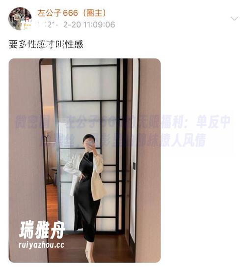 左公子666 微密圈 - 左公子666的无限福利:单反中的黑丝,摄影里的那抹撩人风情